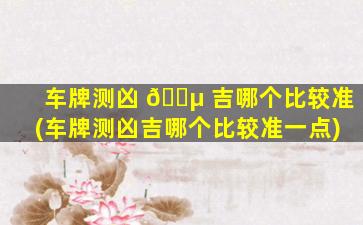 车牌测凶 🌵 吉哪个比较准(车牌测凶吉哪个比较准一点)